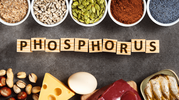 Phosphorous; Health benefits, Sources, Side effects