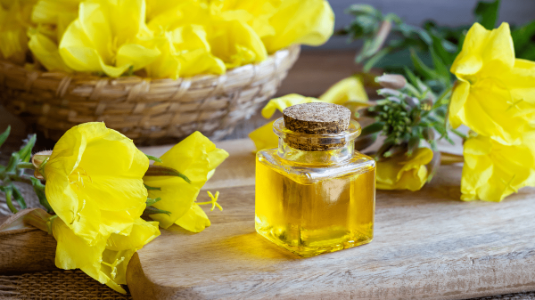 Evening Primrose Oil Overview, Uses, Benefits & Side Effects