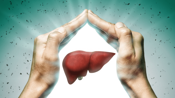 Liver support: How to keep your liver healthy?