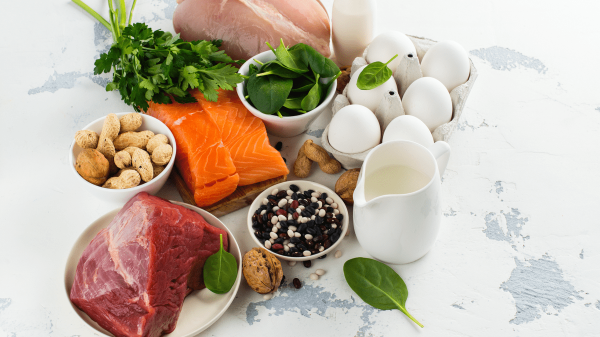The Truth behind Protein Power Diet