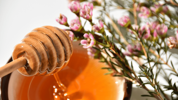 Manuka honey: Health Benefits and Uses