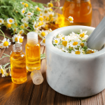 Chamomile oil: Uses and Benefits
