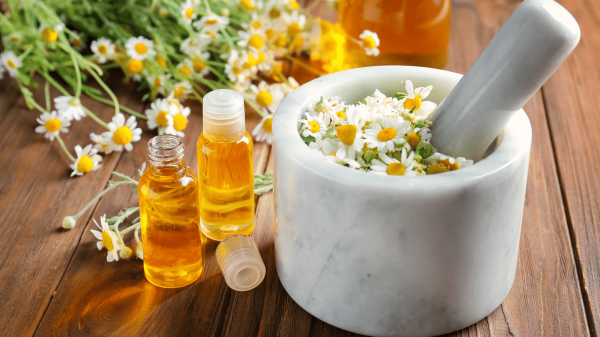 Chamomile oil: Uses and Benefits